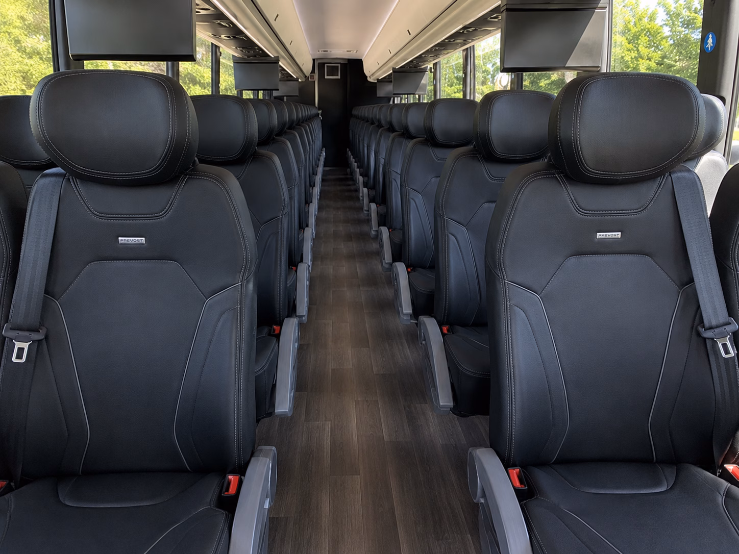 sip your way through lodi wine country without anyone worrying about the drive