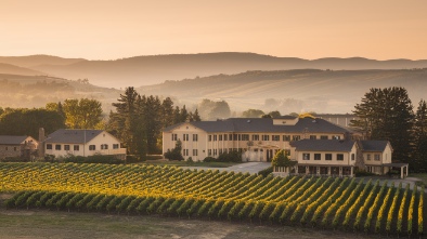e and j gallo winery